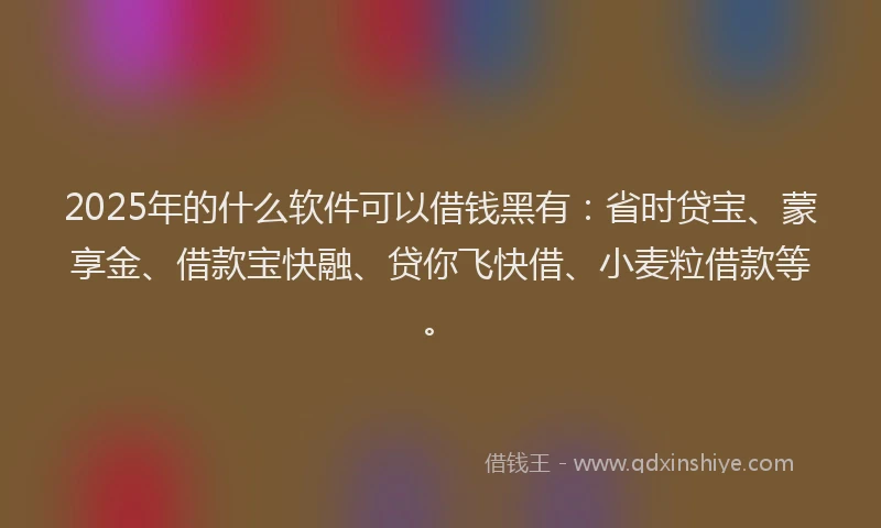 2025年的什么软件可以借钱黑有：省时贷宝、蒙享金、借款宝快融、贷你飞快借、小麦粒借款等。