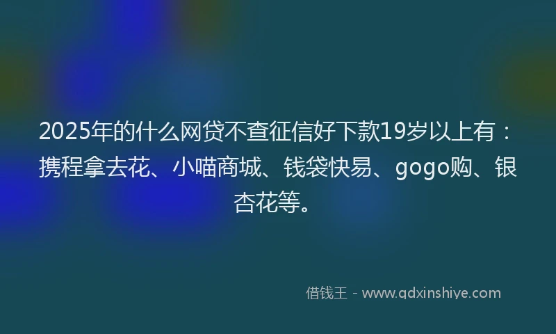 2025年的什么网贷不查征信好下款19岁以上有：携程拿去花、小喵商城、钱袋快易、gogo购、银杏花等。