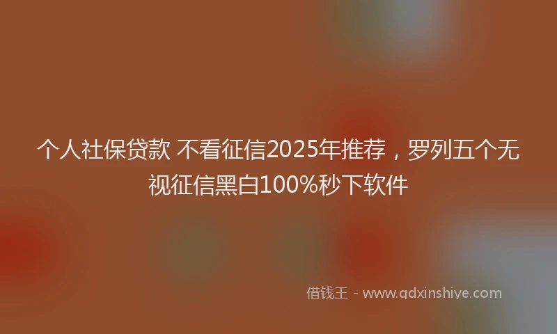 个人社保贷款 不看征信2025年推荐，罗列五个无视征信黑白100%秒下软件
