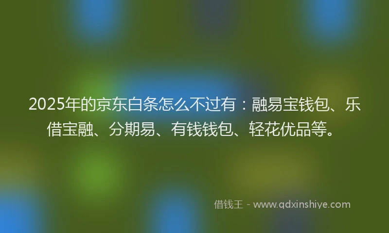 2025年的京东白条怎么不过有：融易宝钱包、乐借宝融、分期易、有钱钱包、轻花优品等。