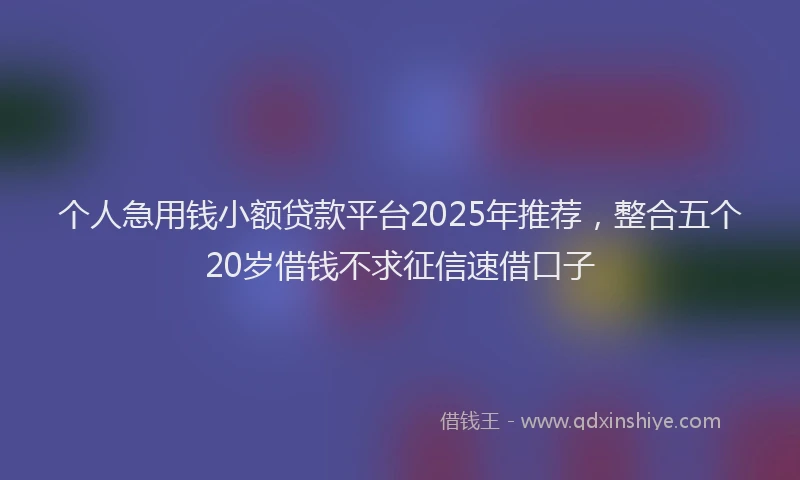 个人急用钱小额贷款平台2025年推荐，整合五个20岁借钱不求征信速借口子