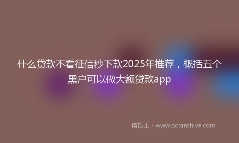 什么贷款不看征信秒下款2025年推荐，概括五个黑户可以做大额贷款app