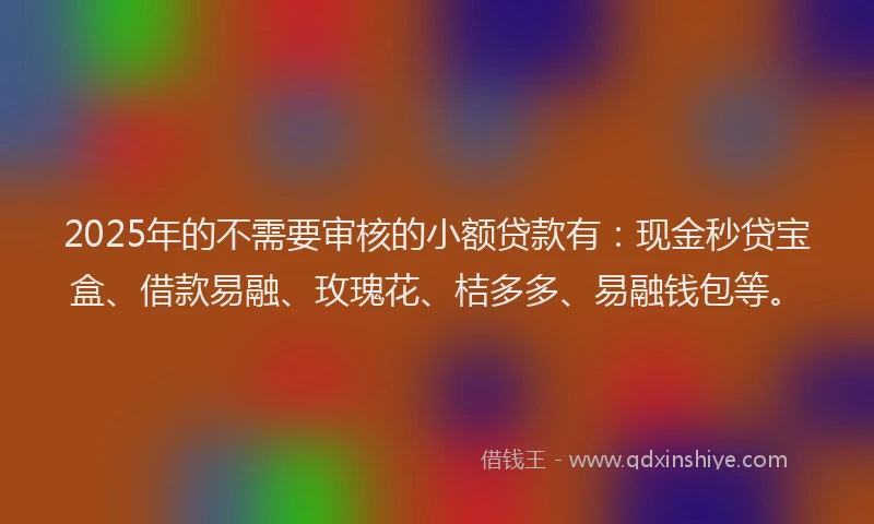 2025年的不需要审核的小额贷款有：现金秒贷宝盒、借款易融、玫瑰花、桔多多、易融钱包等。