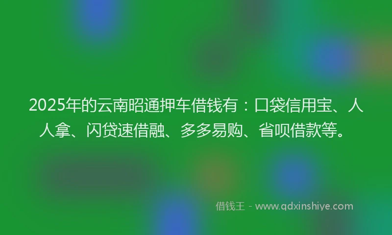2025年的云南昭通押车借钱有：口袋信用宝、人人拿、闪贷速借融、多多易购、省呗借款等。