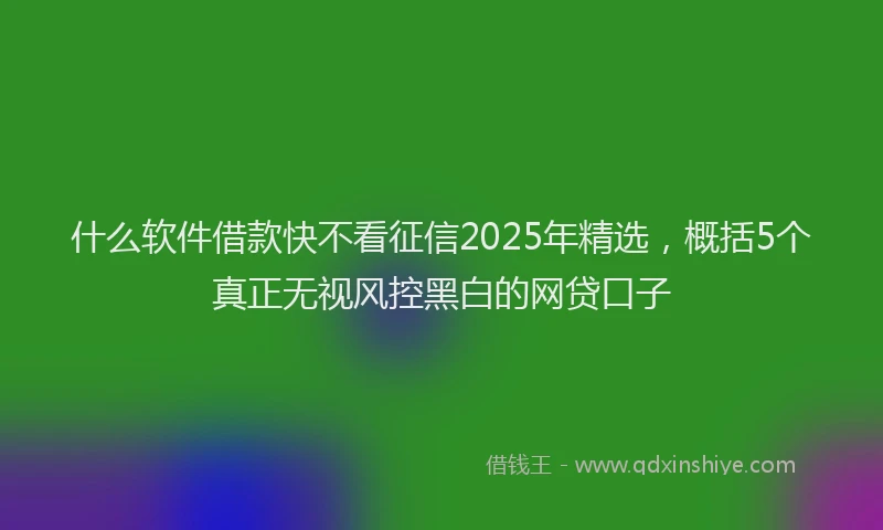 什么软件借款快不看征信2025年精选，概括5个真正无视风控黑白的网贷口子