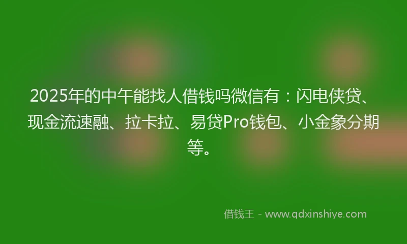 2025年的中午能找人借钱吗微信有：闪电侠贷、现金流速融、拉卡拉、易贷Pro钱包、小金象分期等。