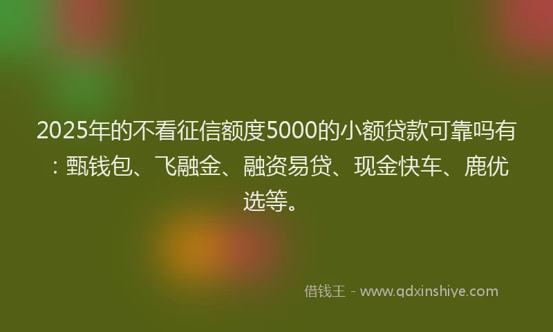 2025年的不看征信额度5000的小额贷款可靠吗有：甄钱包、飞融金、融资易贷、现金快车、鹿优选等。