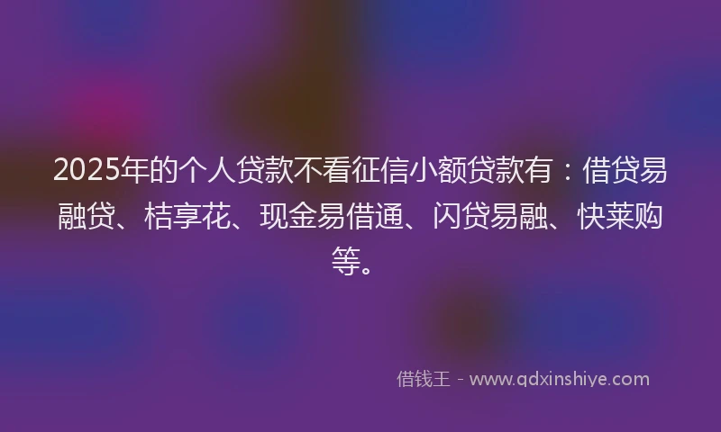 2025年的个人贷款不看征信小额贷款有：借贷易融贷、桔享花、现金易借通、闪贷易融、快莱购等。