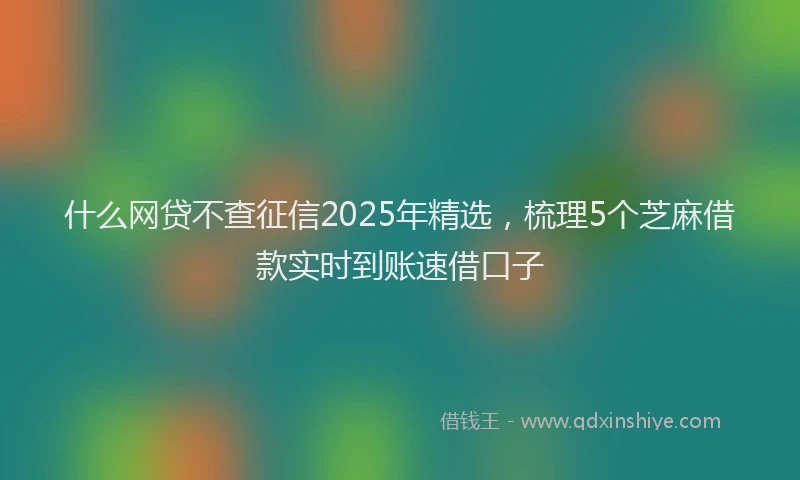 什么网贷不查征信2025年精选，梳理5个芝麻借款实时到账速借口子