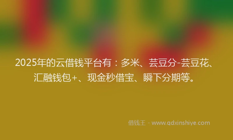 2025年的云借钱平台有：多米、芸豆分-芸豆花、汇融钱包+、现金秒借宝、瞬下分期等。