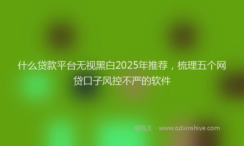 什么贷款平台无视黑白2025年推荐，梳理五个网贷口子风控不严的软件