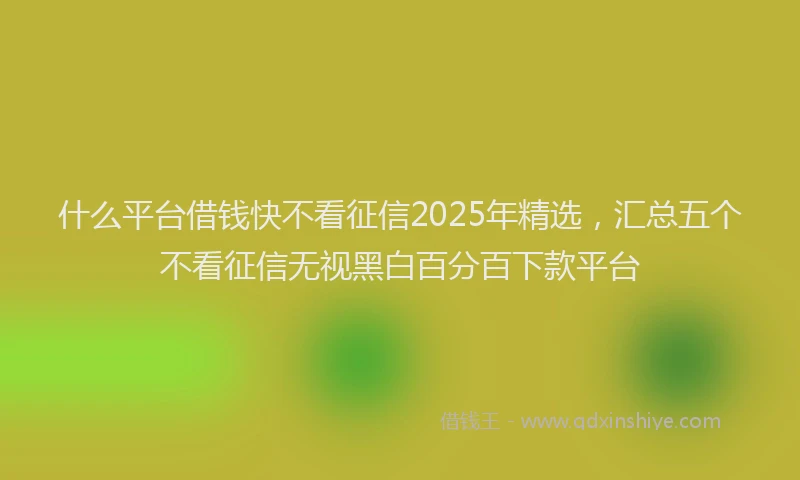 什么平台借钱快不看征信2025年精选，汇总五个不看征信无视黑白百分百下款平台