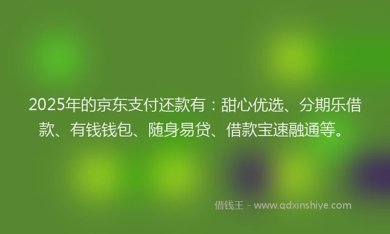 2025年的京东支付还款有：甜心优选、分期乐借款、有钱钱包、随身易贷、借款宝速融通等。