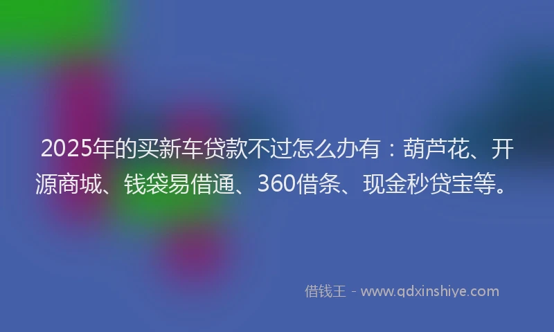 2025年的买新车贷款不过怎么办有：葫芦花、开源商城、钱袋易借通、360借条、现金秒贷宝等。