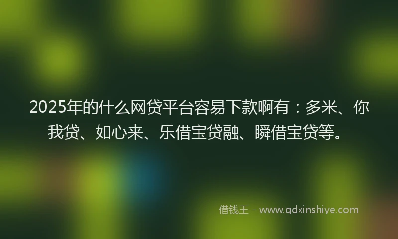 2025年的什么网贷平台容易下款啊有：多米、你我贷、如心来、乐借宝贷融、瞬借宝贷等。