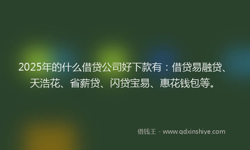 2025年的什么借贷公司好下款有：借贷易融贷、天浩花、省薪贷、闪贷宝易、惠花钱包等。