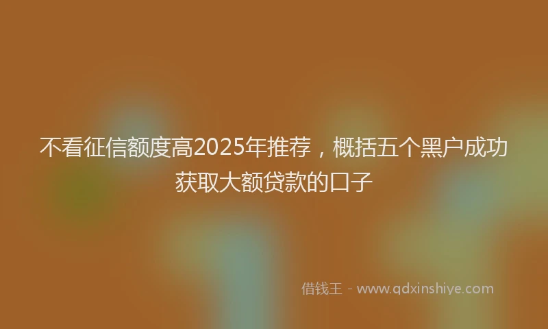 不看征信额度高2025年推荐，概括五个黑户成功获取大额贷款的口子