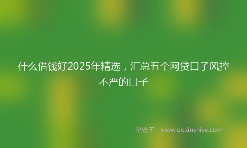 什么借钱好2025年精选，汇总五个网贷口子风控不严的口子