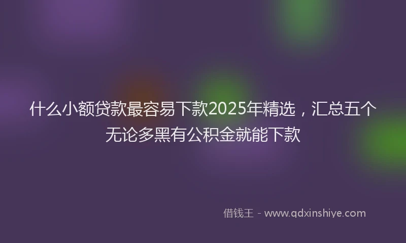 什么小额贷款最容易下款2025年精选，汇总五个无论多黑有公积金就能下款