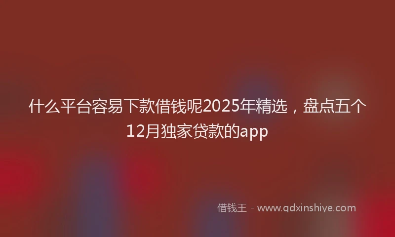 什么平台容易下款借钱呢2025年精选，盘点五个12月独家贷款的app