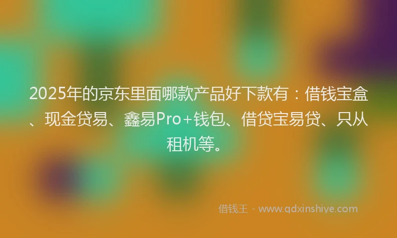 2025年的京东里面哪款产品好下款有：借钱宝盒、现金贷易、鑫易Pro+钱包、借贷宝易贷、只从租机等。