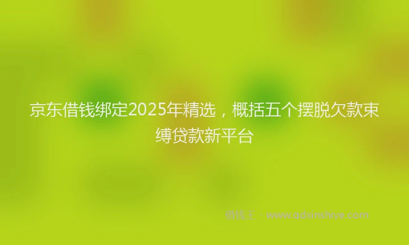 京东借钱绑定2025年精选，概括五个摆脱欠款束缚贷款新平台