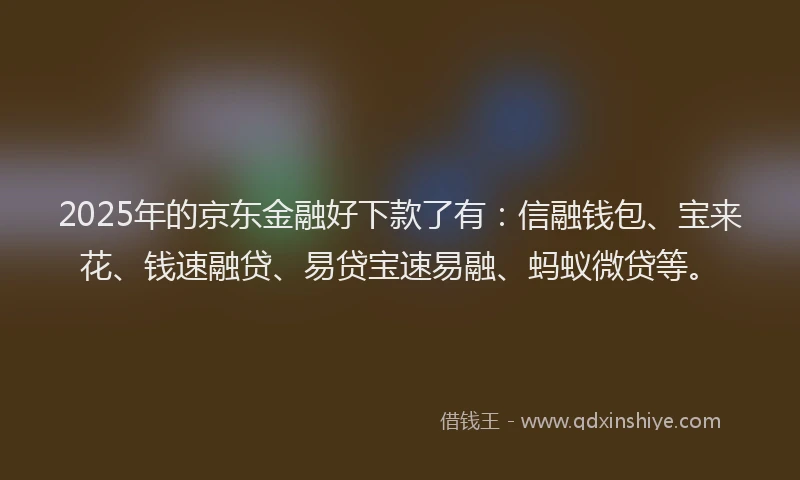 2025年的京东金融好下款了有：信融钱包、宝来花、钱速融贷、易贷宝速易融、蚂蚁微贷等。