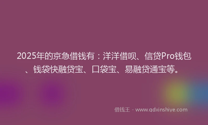 2025年的京急借钱有：洋洋借呗、信贷Pro钱包、钱袋快融贷宝、口袋宝、易融贷通宝等。