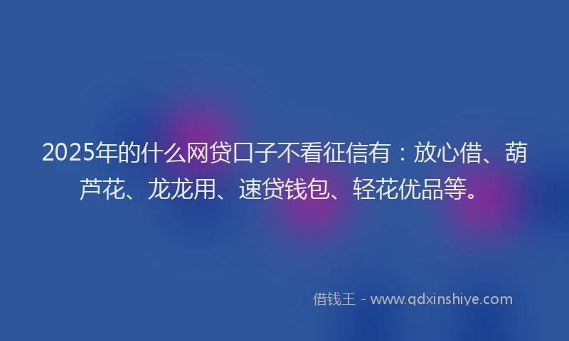 2025年的什么网贷口子不看征信有：放心借、葫芦花、龙龙用、速贷钱包、轻花优品等。