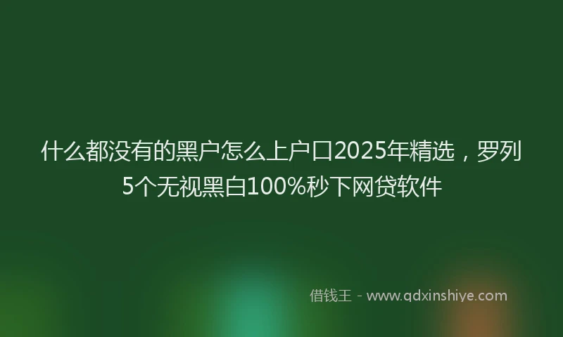 什么都没有的黑户怎么上户口2025年精选，罗列5个无视黑白100%秒下网贷软件