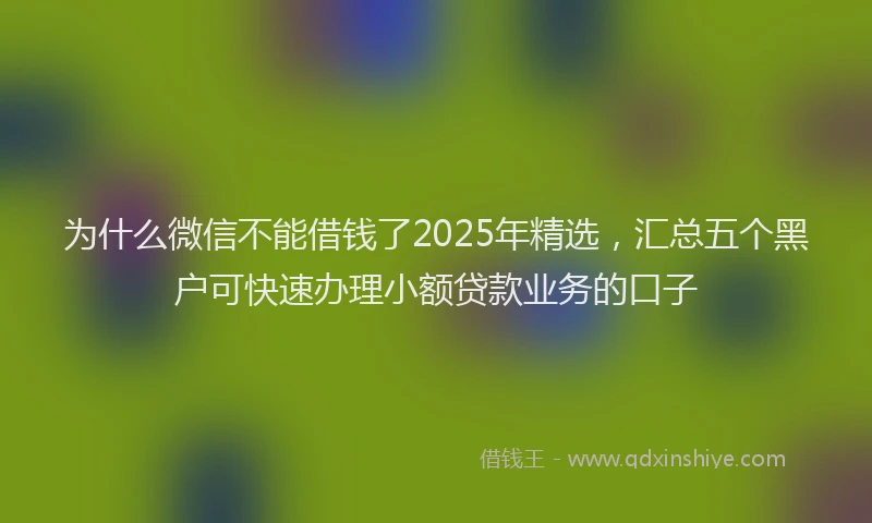为什么微信不能借钱了2025年精选，汇总五个黑户可快速办理小额贷款业务的口子