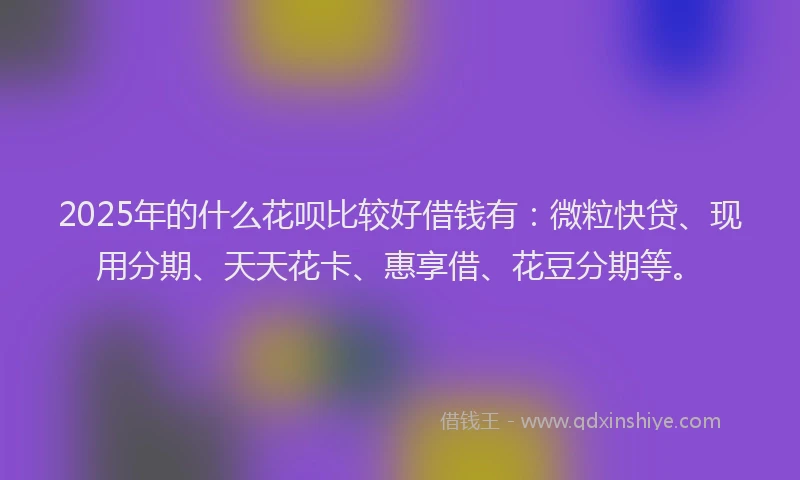 2025年的什么花呗比较好借钱有：微粒快贷、现用分期、天天花卡、惠享借、花豆分期等。