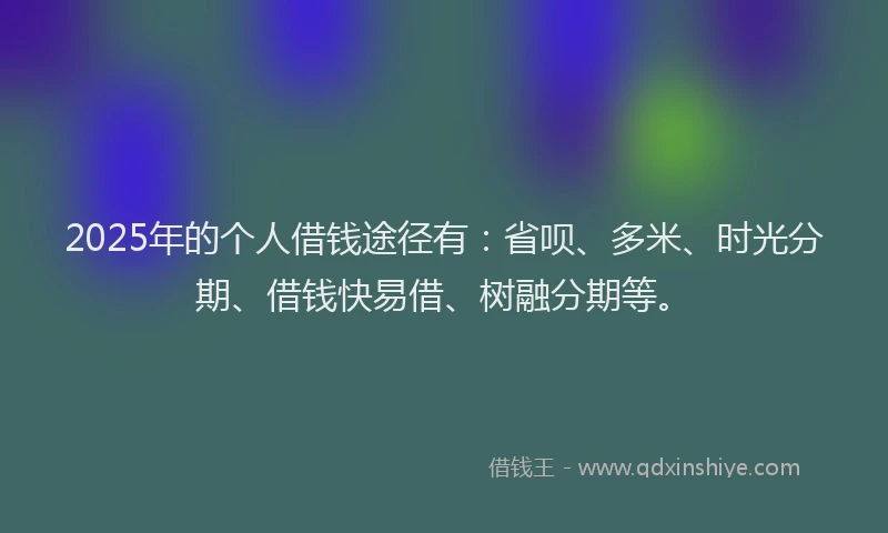 2025年的个人借钱途径有：省呗、多米、时光分期、借钱快易借、树融分期等。