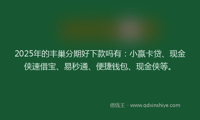 2025年的丰巢分期好下款吗有：小赢卡贷、现金侠速借宝、易秒通、便捷钱包、现金侠等。