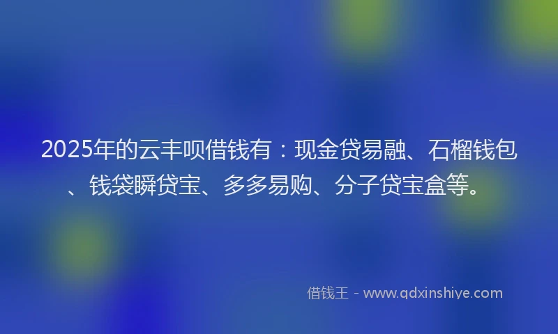 2025年的云丰呗借钱有：现金贷易融、石榴钱包、钱袋瞬贷宝、多多易购、分子贷宝盒等。
