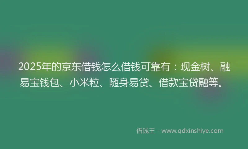 2025年的京东借钱怎么借钱可靠有：现金树、融易宝钱包、小米粒、随身易贷、借款宝贷融等。
