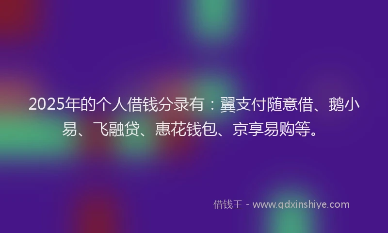 2025年的个人借钱分录有：翼支付随意借、鹅小易、飞融贷、惠花钱包、京享易购等。