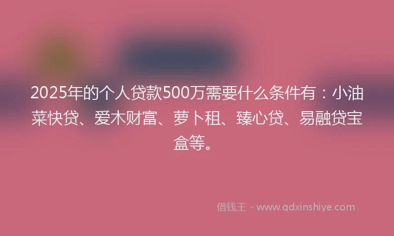2025年的个人贷款500万需要什么条件有：小油菜快贷、爱木财富、萝卜租、臻心贷、易融贷宝盒等。