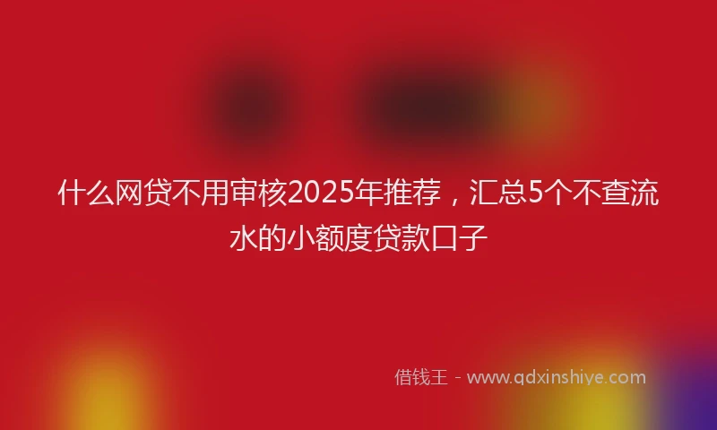 什么网贷不用审核2025年推荐，汇总5个不查流水的小额度贷款口子