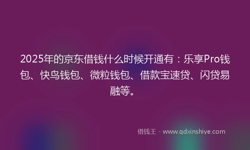 2025年的京东借钱什么时候开通有：乐享Pro钱包、快鸟钱包、微粒钱包、借款宝速贷、闪贷易融等。