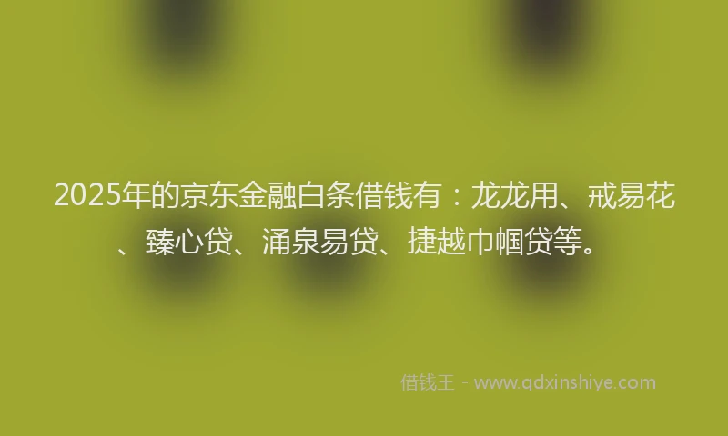 2025年的京东金融白条借钱有：龙龙用、戒易花、臻心贷、涌泉易贷、捷越巾帼贷等。