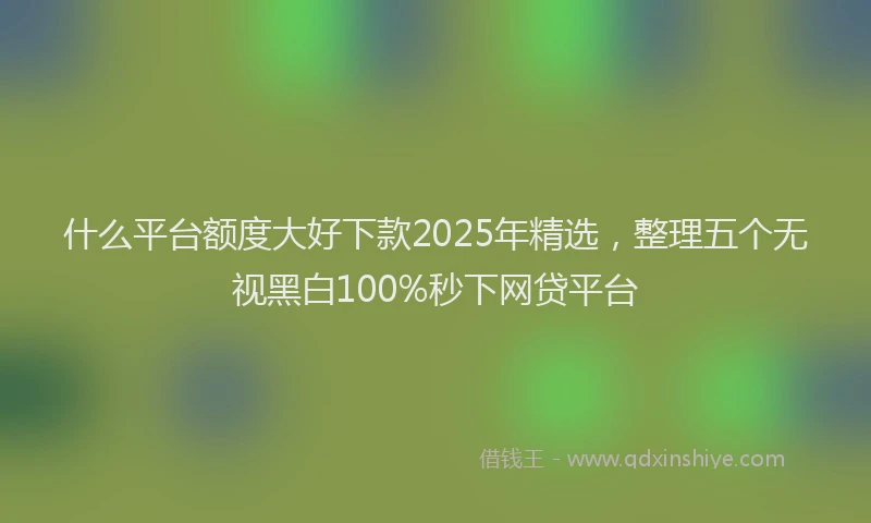 什么平台额度大好下款2025年精选，整理五个无视黑白100%秒下网贷平台