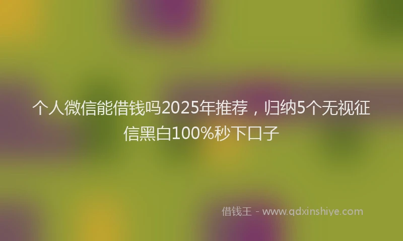 个人微信能借钱吗2025年推荐，归纳5个无视征信黑白100%秒下口子