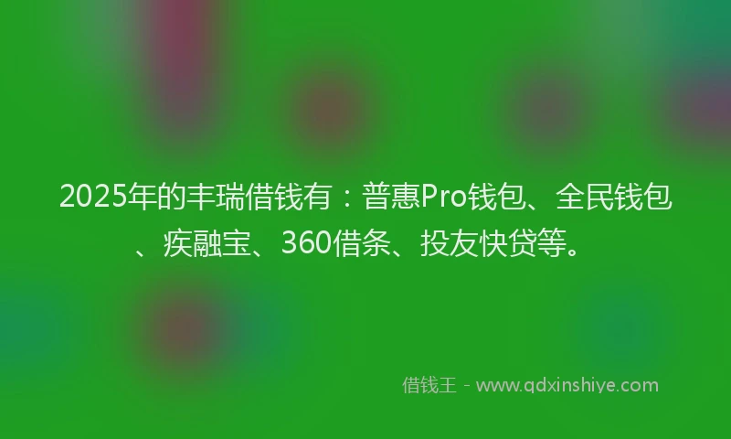 2025年的丰瑞借钱有：普惠Pro钱包、全民钱包、疾融宝、360借条、投友快贷等。