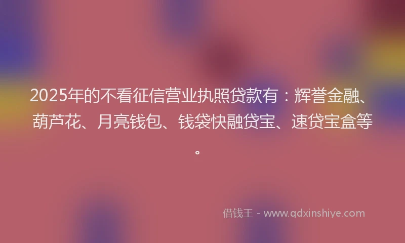 2025年的不看征信营业执照贷款有：辉誉金融、葫芦花、月亮钱包、钱袋快融贷宝、速贷宝盒等。