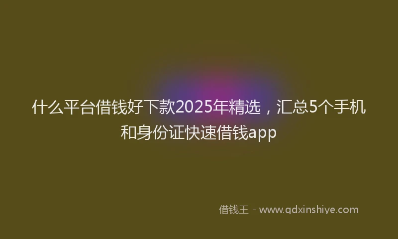 什么平台借钱好下款2025年精选，汇总5个手机和身份证快速借钱app