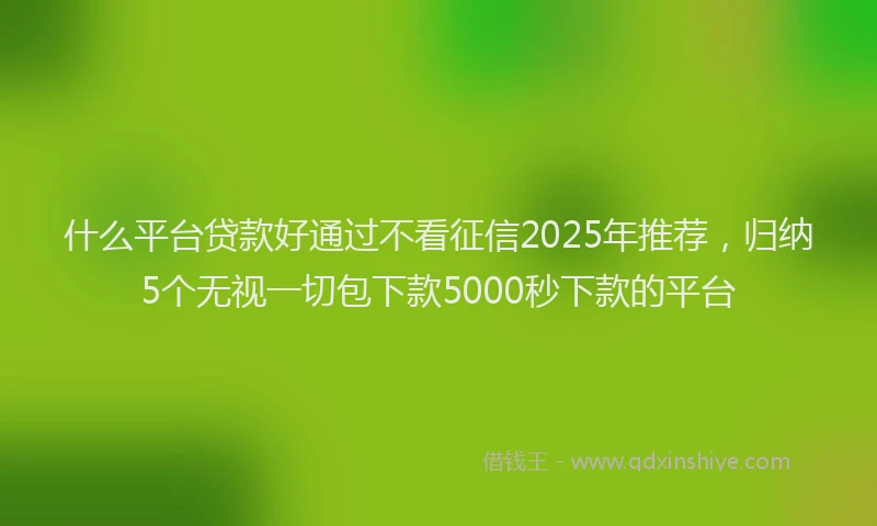 什么平台贷款好通过不看征信2025年推荐，归纳5个无视一切包下款5000秒下款的平台