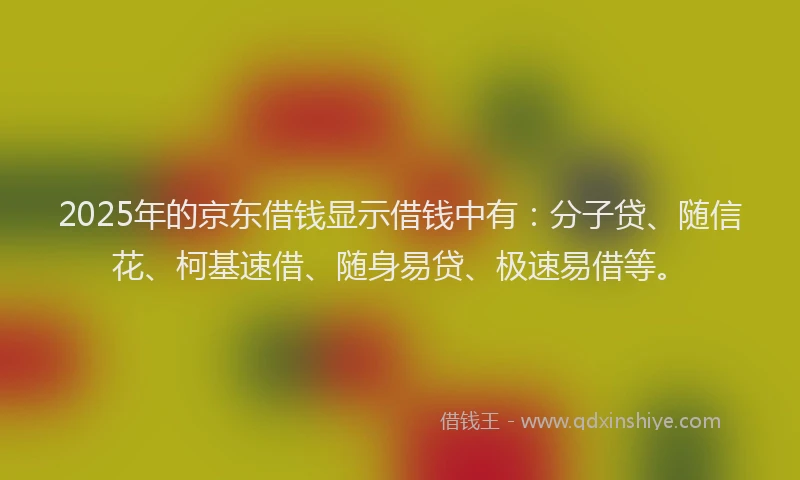 2025年的京东借钱显示借钱中有：分子贷、随信花、柯基速借、随身易贷、极速易借等。