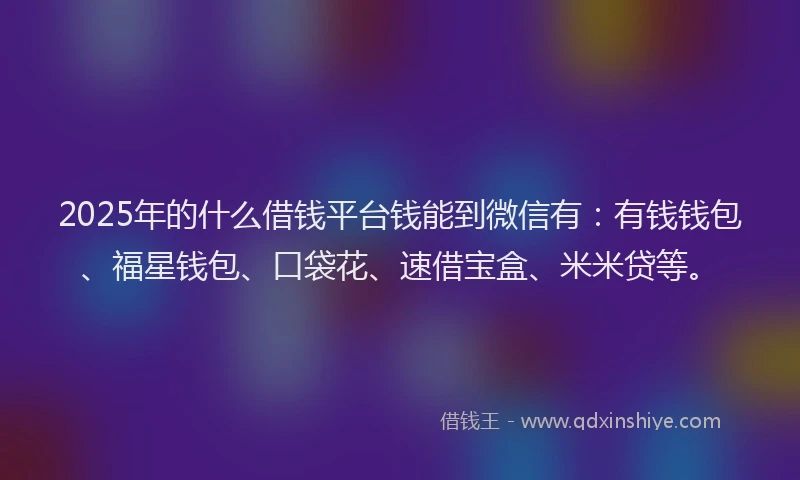 2025年的什么借钱平台钱能到微信有：有钱钱包、福星钱包、口袋花、速借宝盒、米米贷等。