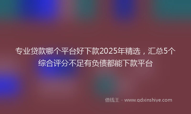 专业贷款哪个平台好下款2025年精选，汇总5个综合评分不足有负债都能下款平台